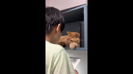 Cat HATES Story Time!