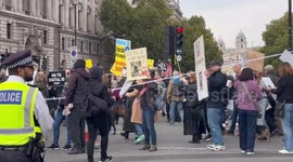 Thousands protest against UK's proposed Digital ID system in London, England