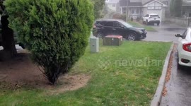 Severe thunderstorm lashes in Ontario, Canada