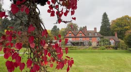 One of UK's finest gardens explodes with beautiful autumnal colour after hot summer