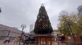 Residents moan 'too soon' after city erects Christmas tree two months early
