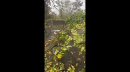 Dashcam Captures F2 Tornado Hitting A115 Highway in Ermont, France