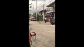 Manila's Happiest Pup: Adorable Labradoodle's Joyful Street Adventure!