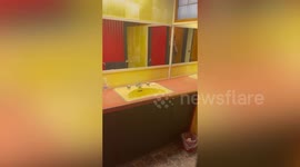 1955 house full of mid-century treasures remains untouched for 70 years