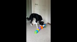Simba Finds Stacking Cups Too Easy