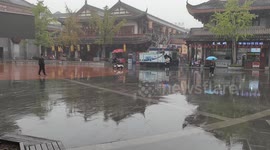 Labrador rides an electric scooter in the rain in Sichuan, China
