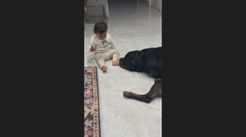 Daughter and Rottweiler Share an Adorable Bond