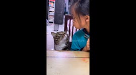 Cat looks sad after being teased with noodles in Beijing, China
