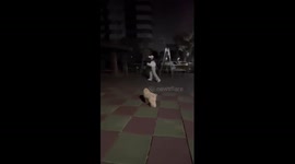 Woman accidentally runs into pole while playing with dog in Jiangsu, China