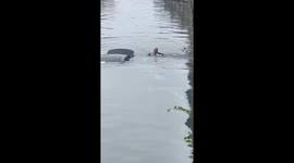 Hero passerby dives into river to rescue driver trapped inside submerged car
