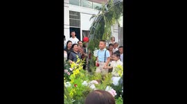 Cheeky little boy kneels to 'propose' during wedding ceremony