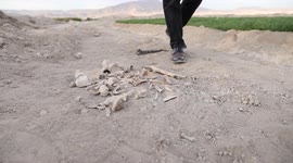 New mass grave found near Syrian capital