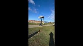Car's Barrel Tower Topples Over