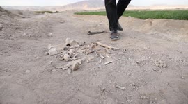 Syria: New mass grave found near Syrian capital