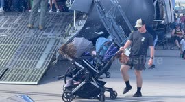 Bees Swarm a Baby Stroller