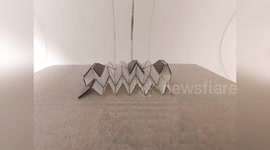 US: Origami Robots With Magnetic Muscles Could Transform Drug Delivery