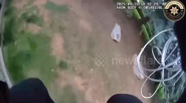 Deer Freed After Getting Stuck in Tomato Tower in Littleton, CO