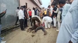 Devotees Lie on Ground as Herd of Cows Tramples Over Them in Ujjain Village — Centuries-Old ‘Gauri Poojan’ Tradition Stuns Onlookers