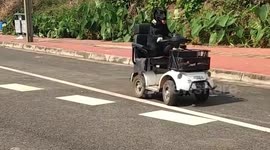 Labrador spotted driving modified scooter in China - officials seize vehicle while owner insists clever pet did nothing wrong