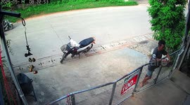 Pet dog jumps back over gate to safely bark at customer