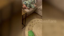 Hilarious moment tot gets ready to scrap after mum tricks him with TikTok prank