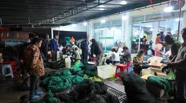 China: Crab graders in China sort premium shellfish with keen precision