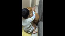 Toddler comforts dog shaking with fear due to loud Diwali firecrackers