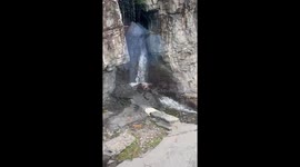 Bear relaxes under waterfall in New York, USA