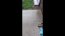 Heavy hail and 50 mph wind gusts batter Jackson, Michigan, USA