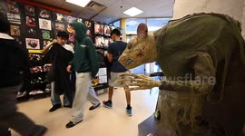 US: Halloween Related Spending Expected To Top $13B