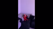 temp