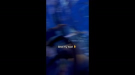 1 year old visits Europes largest aquarium and knows all the species and animal names!