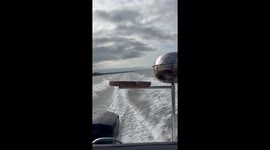Barbecue on a Boat Gone Wrong