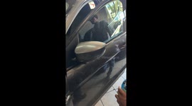 No Fingers Closed In Car Door