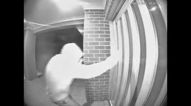 Door-Knocking Dingus Falls Down