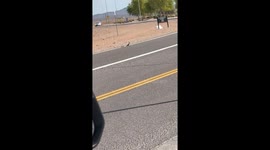 Quail Crossing