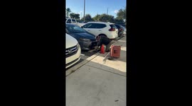 Animal Control Removes Angry Raccoon From Car Bumper