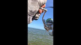 What Did He Catch?