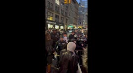 US: Protests Erupt at Federal Plaza After ICE Raids on Chinatown’s Canal Street Vendors