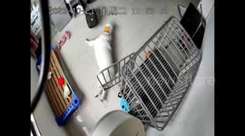 Heart-stopping moment dog with head trapped in plastic nearly suffocates, owner rushes home to rescue it