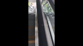 Stray cat relaxes in unlikely position sandwiched between escalators