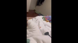 Little corgi puppy carries owner’s slipper in Shaanxi, China