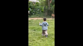 Boy’s adorable reaction after alpaca spits in Fujian, China