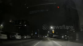Wild boar hesitates to cross pedestrian lane in Warsaw, Poland