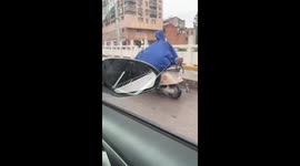 Border Collie rides motorcycle while running on front legs in Hubei, China