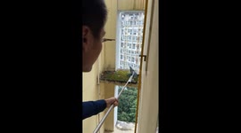 Kitten rescued from mossy windowsill in Sichuan, China