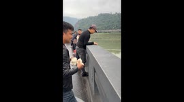 Man feeds school of fish from bridge in Sichuan, China