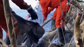 Mexico: Oil spill caused by heavy rains in Mexico under control