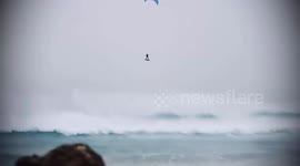 Breathtaking footage captured record-breaking kite surfing jump from world champion