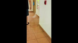 Pipe burst damages resort room in Cancun, Mexico